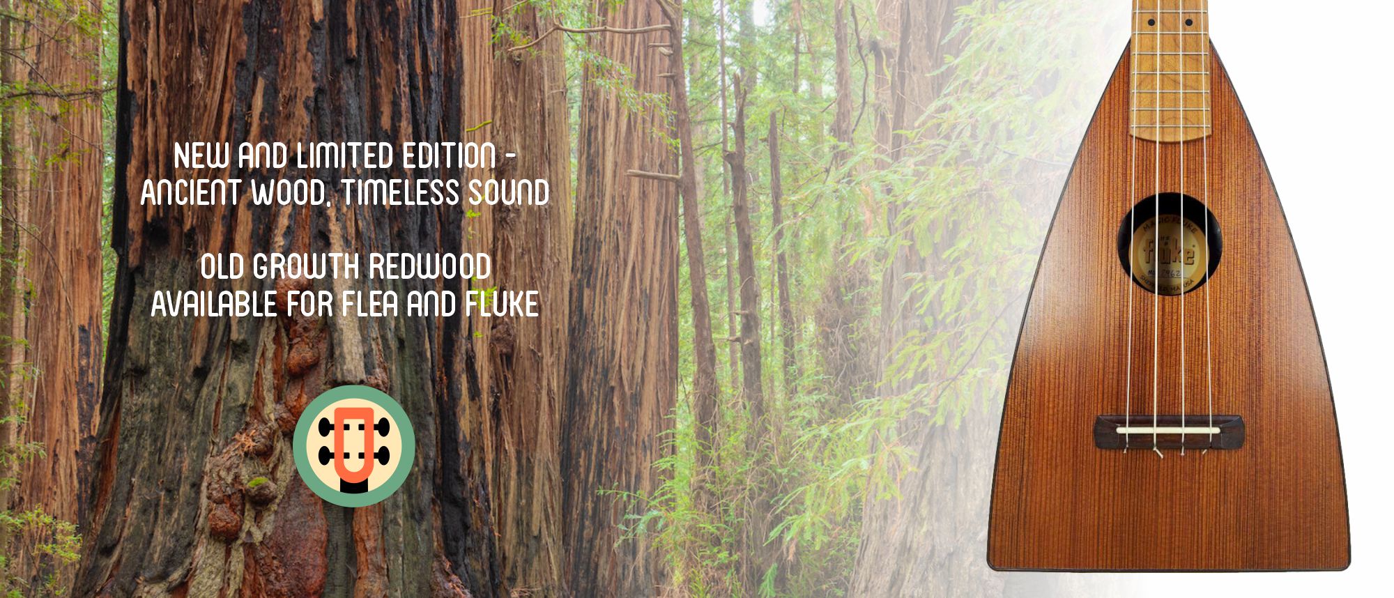 assets/images/Banners/redwood-banner.jpg